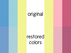 MAP flag - Paraphilia+ Flags Wiki